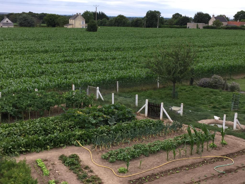Les Galets Lägenhet Tracy-sur-Mer Exteriör bild